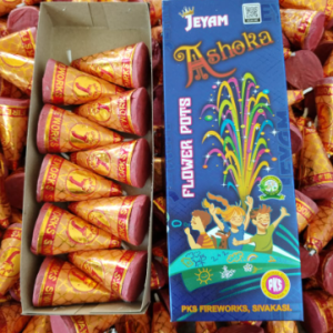 Flower bot (Ashoka பூச்சட்டி அசோகா)